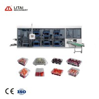 LITAI PP Food Grade Disposable Cup Bowl Plastic Product Container Thermoforming Making Machine