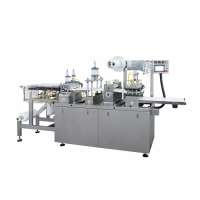 PET Automatically Plastic Fruit Container Making Machine Cover Making Thermoforming Machine Price